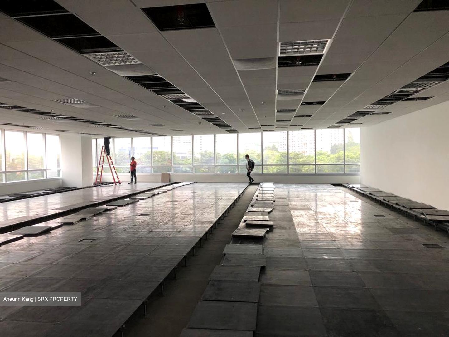 North Buona Vista Drive (D5), Office #566581821